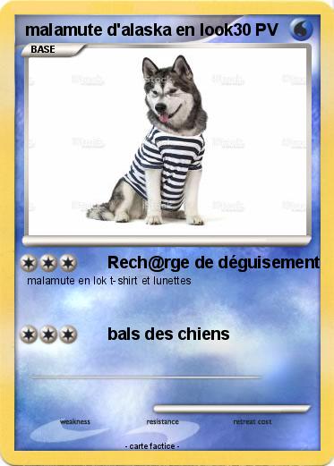 Pokemon malamute d'alaska en look