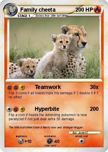 Pokemon Family cheeta