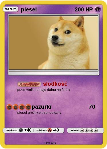 Pokemon pieseł