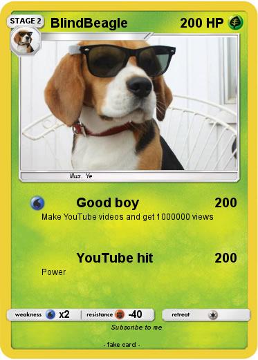 Pokemon BlindBeagle