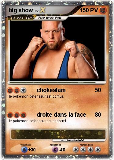 Pokemon big show