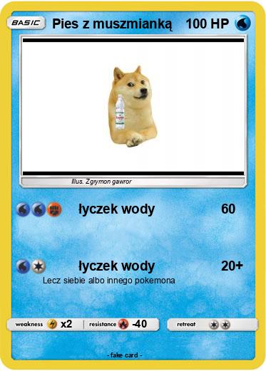 Pokemon Pies z muszmianką