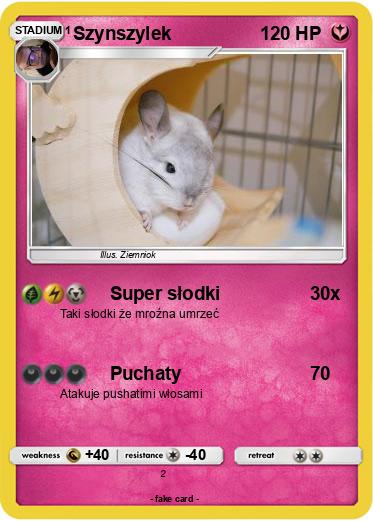 Pokemon Szynszylek