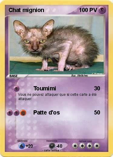 Pokemon Chat mignion