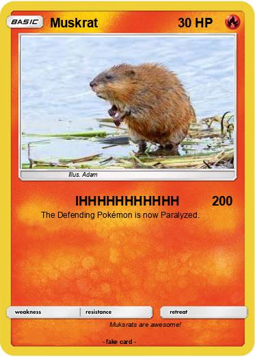 Pokemon Muskrat