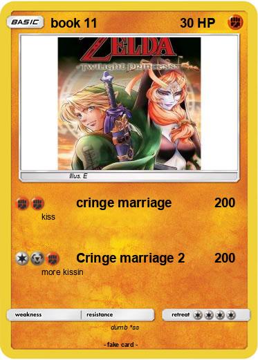 Pokemon book 11