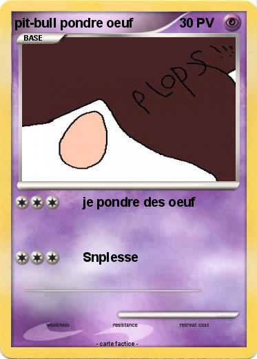 Pokemon pit-bull pondre oeuf