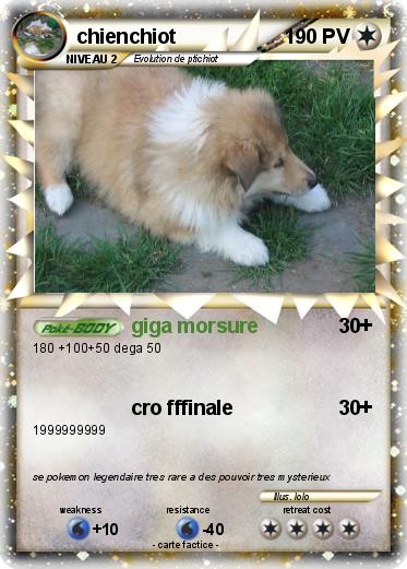 Pokemon chienchiot