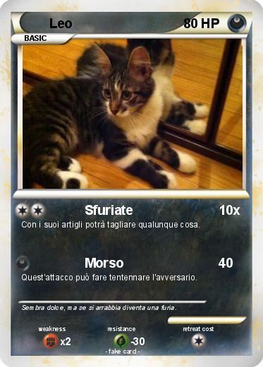 Pokemon Leo