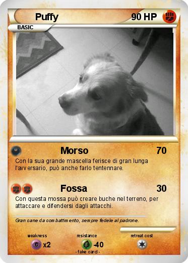 Pokemon Puffy