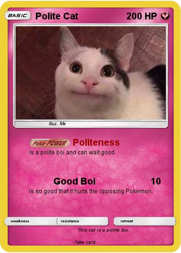 Pokemon Polite Cat