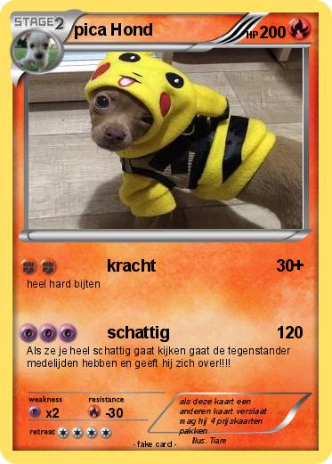 Pokemon pica Hond
