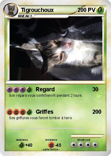 Pokemon Tigrouchoux