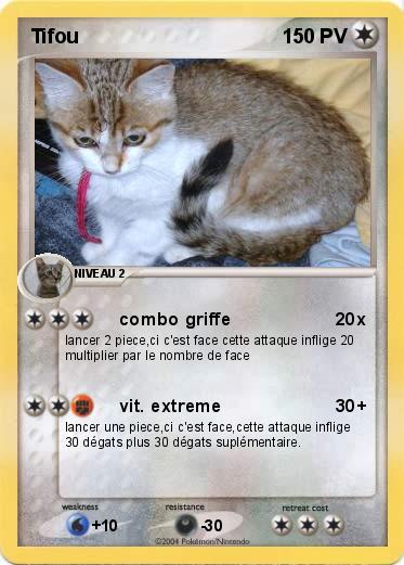 Pokemon Tifou            