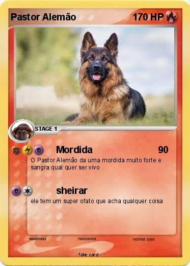 Pokemon Pastor Alemão