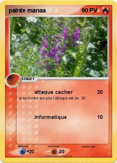 Pokemon palnte manaa