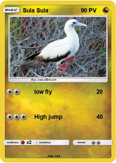 Pokemon Sula Sula