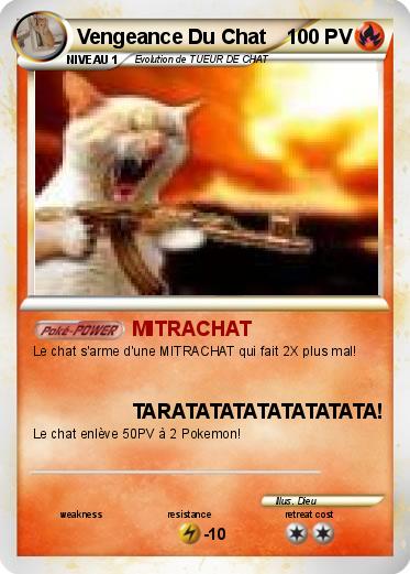 Pokemon Vengeance Du Chat