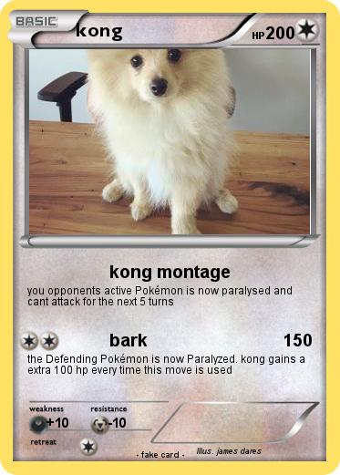 Pokemon kong