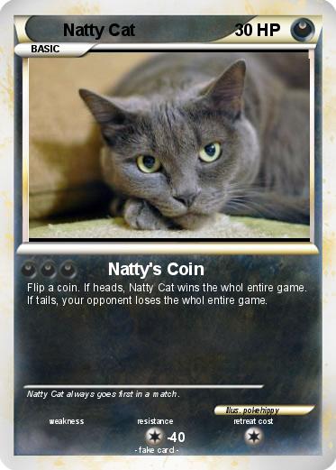 Pokemon Natty Cat