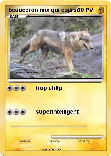 Pokemon beauceron mix qui coµrse
