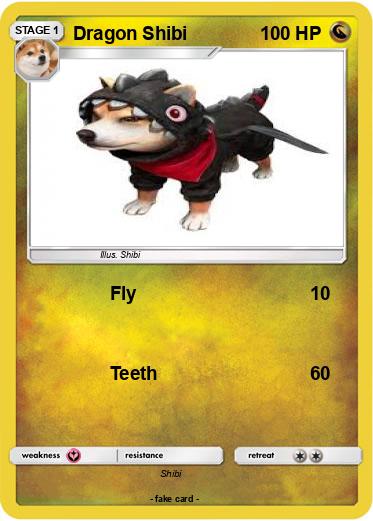 Pokemon Dragon Shibi