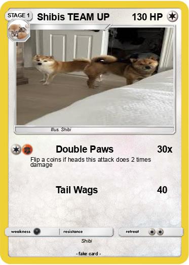 Pokemon Shibis TEAM UP