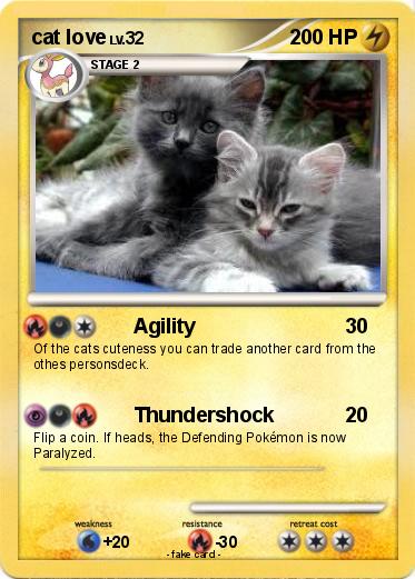 Pokemon cat love
