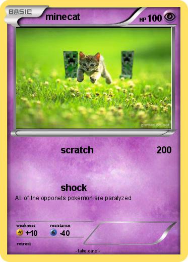 Pokemon minecat
