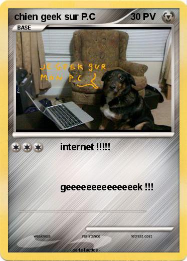 Pokemon chien geek sur P.C