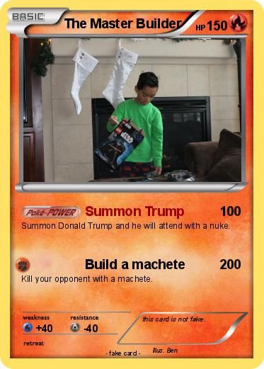 Pokemon The Master Builder