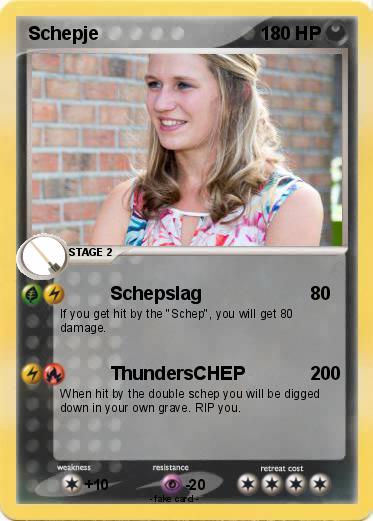 Pokemon Schepje