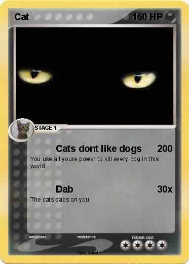 Pokemon Cat