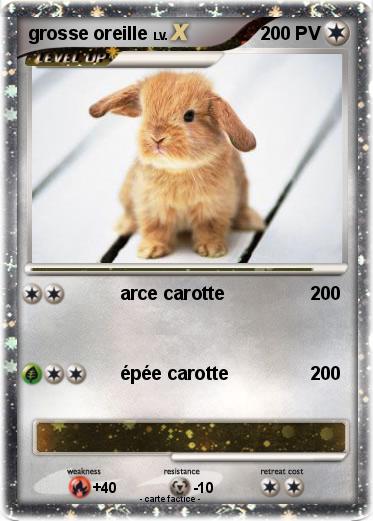 Pokemon grosse oreille