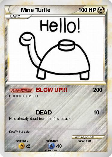 Pokemon Mine Turtle