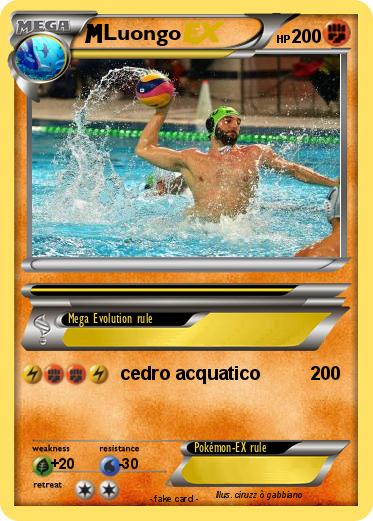Pokemon Luongo