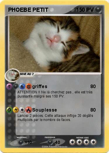 Pokemon PHOEBE PETIT