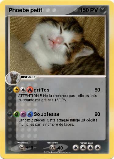 Pokemon Phoebe petit