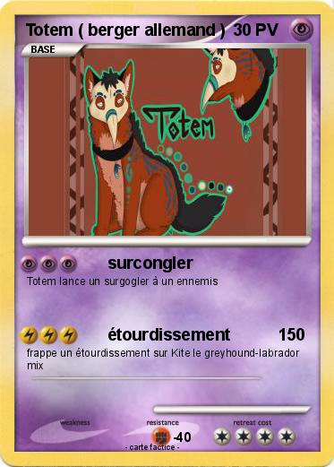Pokemon Totem ( berger allemand )