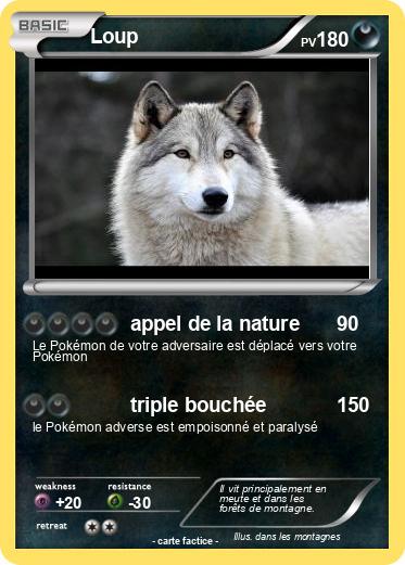 Pokemon Loup