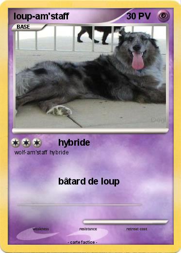 Pokemon loup-am'staff