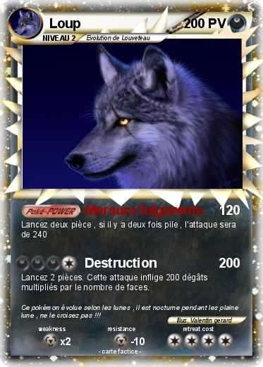 Pokemon Loup