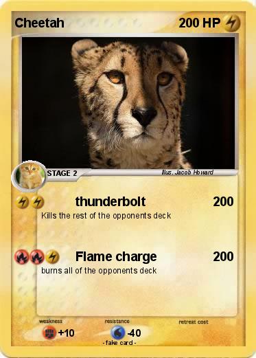 Pokemon Cheetah