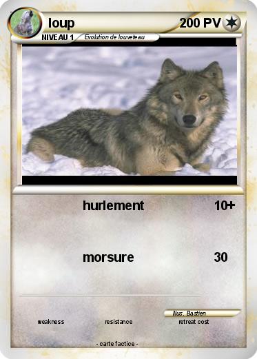 Pokemon loup