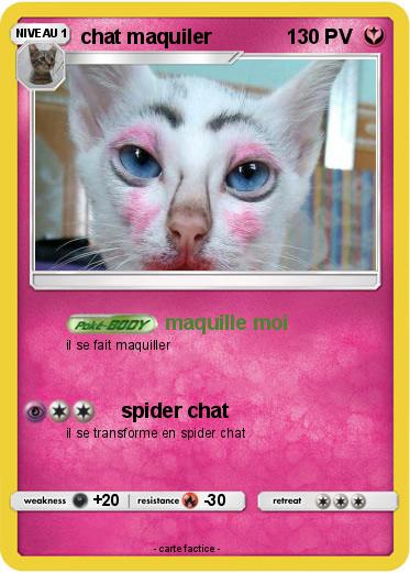 Pokemon chat maquiler