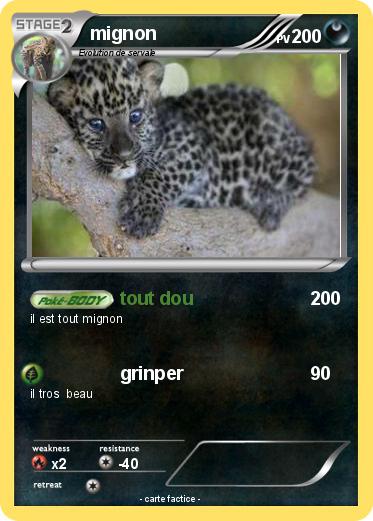 Pokemon mignon