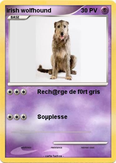 Pokemon irish wolfhound