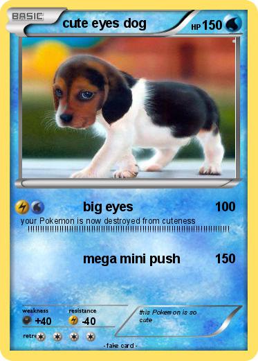 Pokemon cute eyes dog