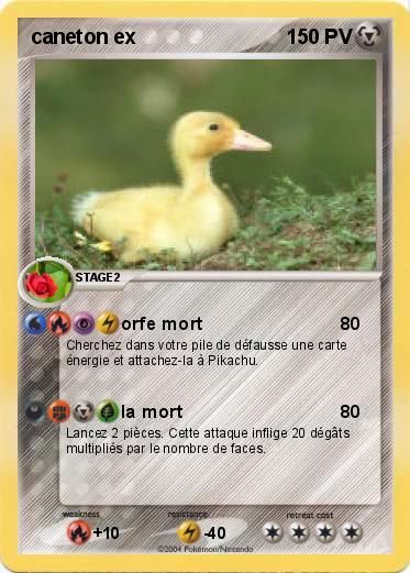 Pokemon caneton ex