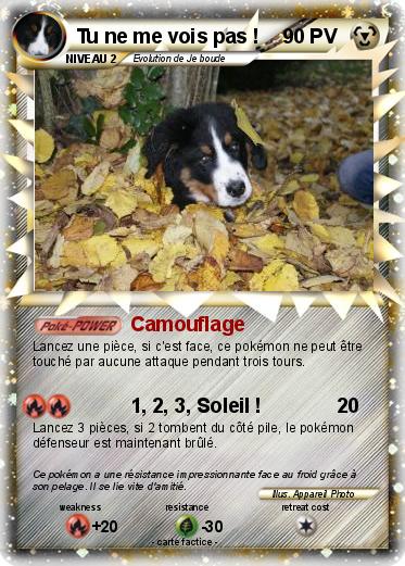Pokemon Tu ne me vois pas !